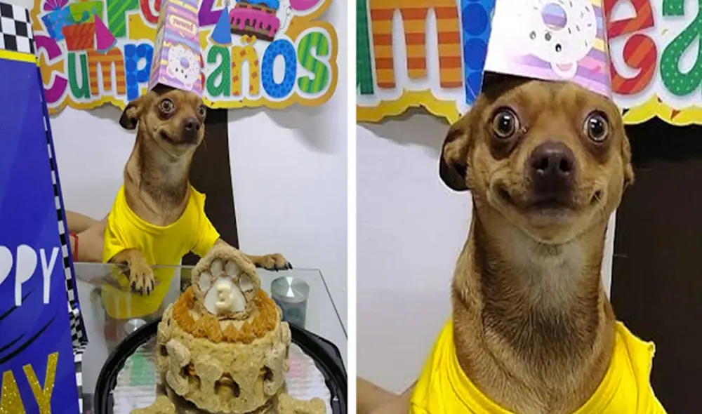 Los integrantes de una familia decidieron decorar el interior de su casa para hacer una celebración especial para su pequeño perro. Foto: captura de Facebook Los integrantes de una familia decidieron decorar el interior de su casa para hacer una celebración especial para su pequeño perro. Foto: captura de Facebook