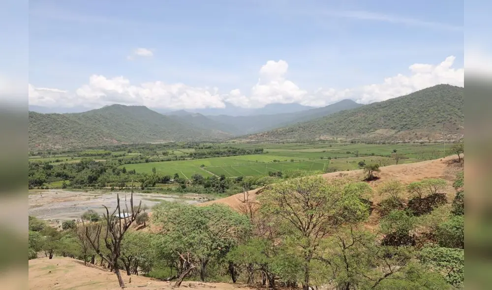 Esperan mejorar las actividades agrícolas para Morropón. Foto: difusión