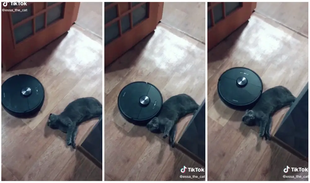 El robot quiso limpiar el lugar en donde estaba el animal, pero no pudo. Foto: captura de TikTok (@essa_the_cat)