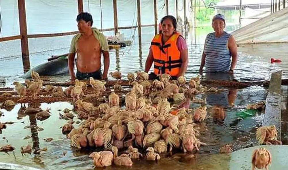 Damnificados son enviados a colegios de la región, donde se han instalado albergues. Foto: GORE Madre de Dios