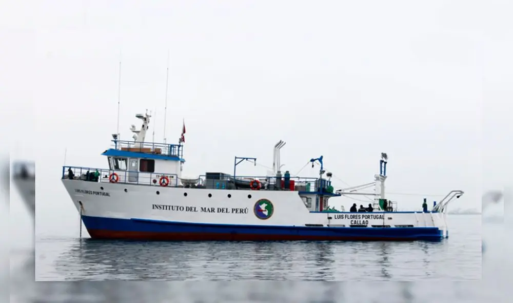 crucero permitirá determinar la estructura por tallas de la población de anchoveta. Foto: Cortesía Imarpe