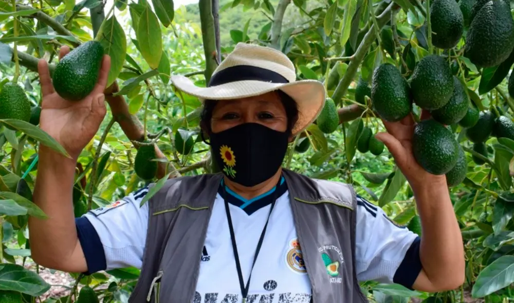 En lo que va del 2021, Senasa inspeccionó un total de 30 predios. Foto: difusión En lo que va del 2021, Senasa inspeccionó un total de 30 predios. Foto: difusión