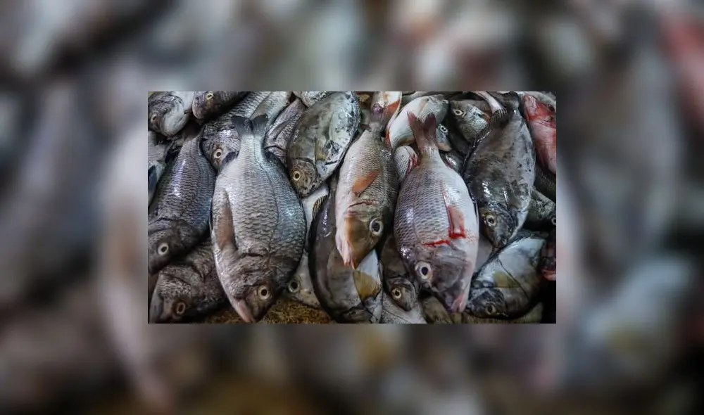 El 67.4% de los pescados analizados es vendido bajo otra denominación. Foto: EFE