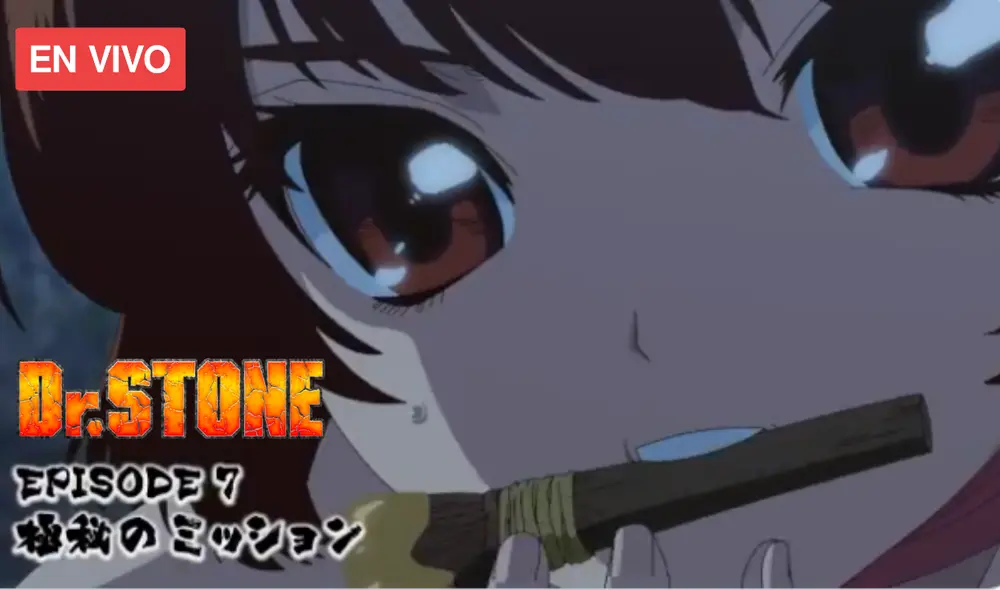 No te pierdas un nuevo episodio de Dr. Stone. Foto: Weekly Shonen Jump