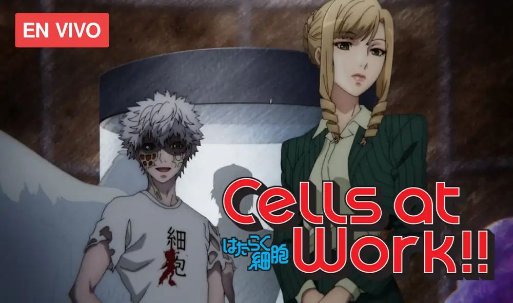 No te pierdas un nuevo capítulo de Hataraku Saibou 2. Foto: Aniplex No te pierdas un nuevo capítulo de Hataraku Saibou 2. Foto: Aniplex