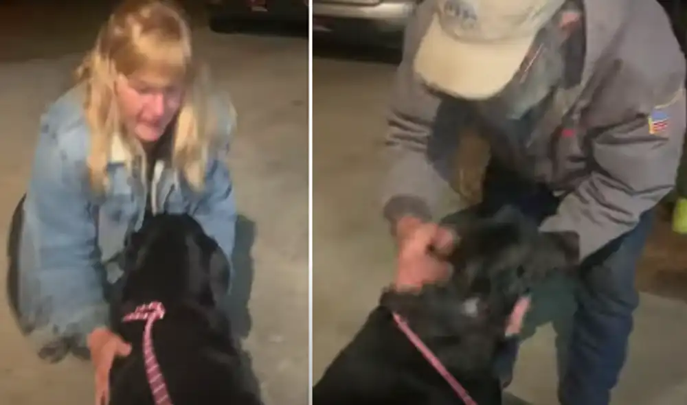 El video ha sido compartido en la página ViralHog. Foto: captura de Facebook