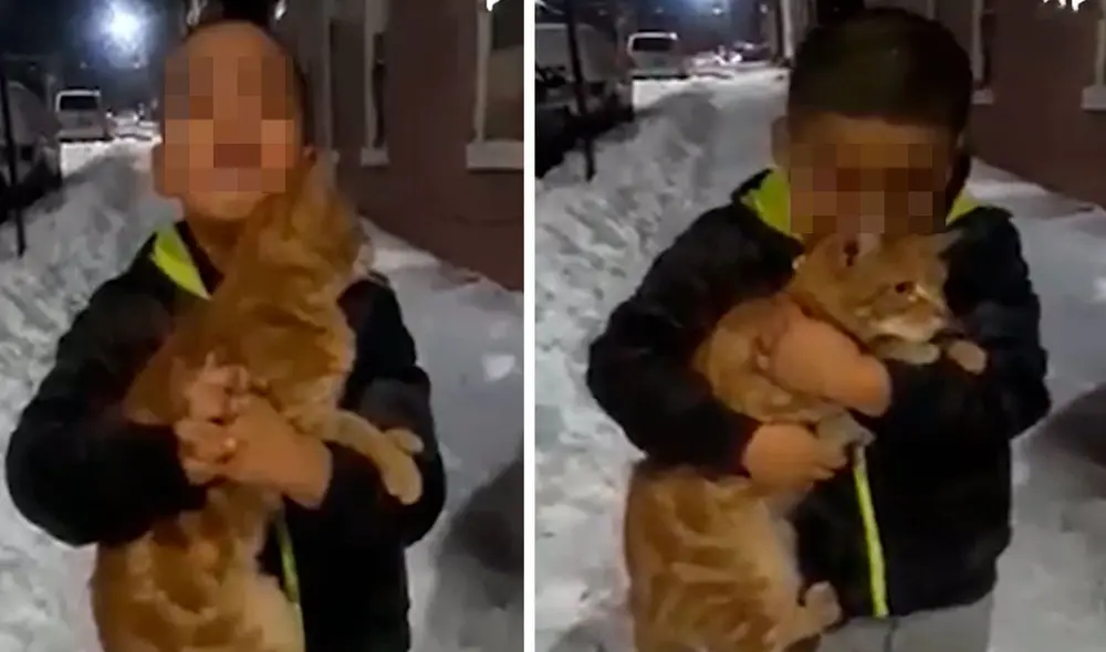 Un pequeño se encariño con un indefenso gatito que deambulaba por su vecindario. Foto: captura de YouTube Un pequeño se encariño con un indefenso gatito que deambulaba por su vecindario. Foto: captura de YouTube