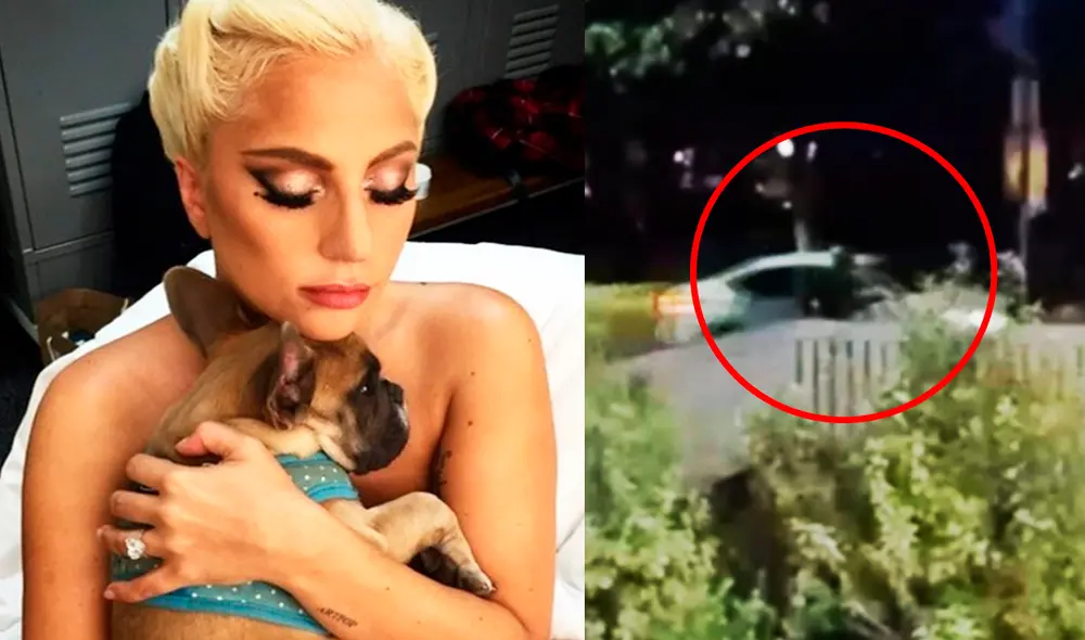 La cantante atraviesa por un difícil momento por la pérdida de sus mascotas. Foto: Instagram / Lady Gaga / captura CNN