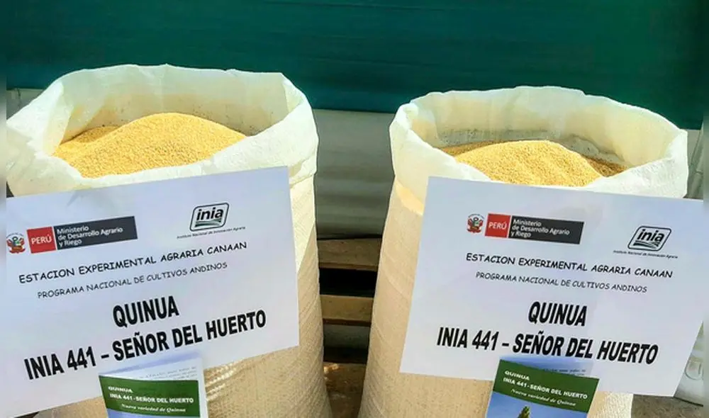 Lanzamiento de nuevas variedades se realizó en una ceremonia. Foto: GORE Ayacucho Lanzamiento de nuevas variedades se realizó en una ceremonia. Foto: GORE Ayacucho