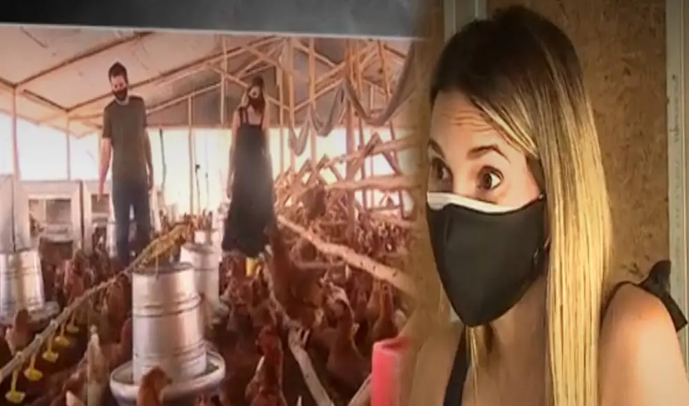 María Grazia Gamarra puso en marcha su nuevo negocio ante crisis económica. Foto: captura América TV María Grazia Gamarra puso en marcha su nuevo negocio ante crisis económica. Foto: captura América TV