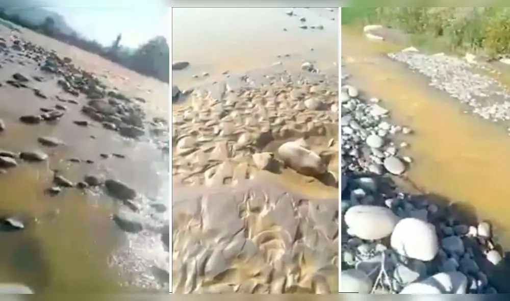 Arequipa. Situación del río Tambo, nuevamente, preocupa a las autoridades de Islay. Foto: Captura Puerto Bravo Noticias Arequipa. Situación del río Tambo, nuevamente, preocupa a las autoridades de Islay. Foto: Captura Puerto Bravo Noticias