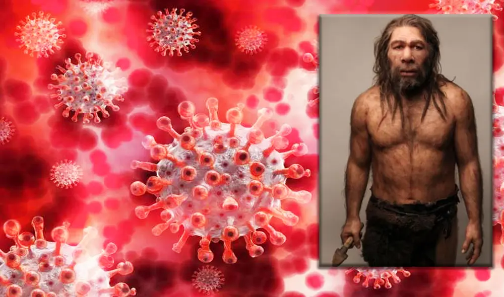 Los primeros fósiles del hombre de Neandertal se encontraron en Bélgica y Gibraltar. Foto: composición LR / Natural History Museum / Difusión