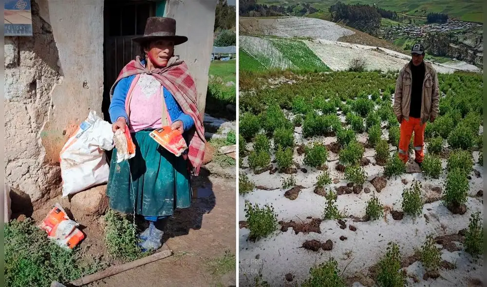 Casas, cultivos y ganado fueron afectados por granizada. Foto: Municipalidad José María Arguedas