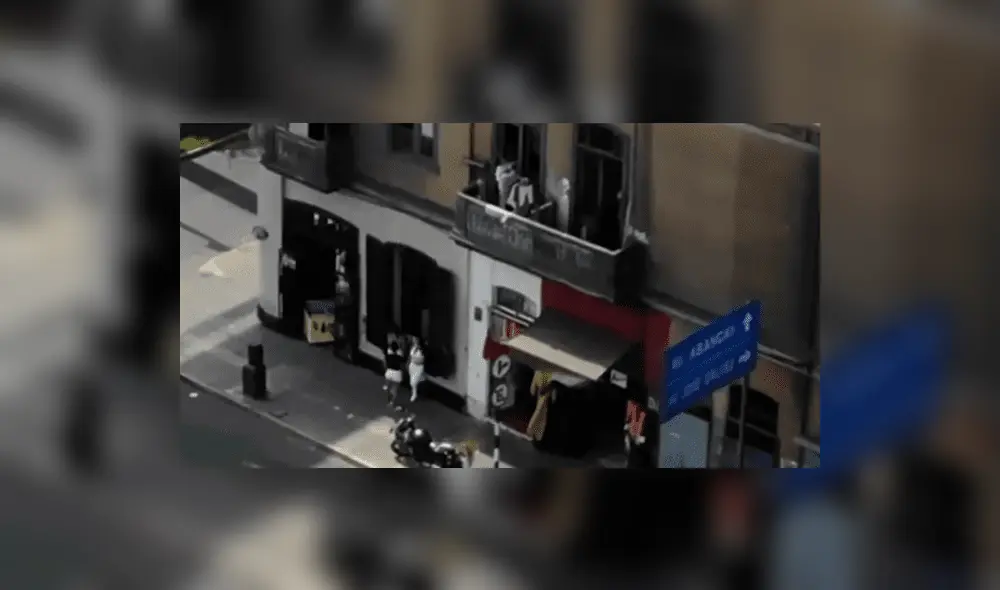 Una de las víctimas recuperó su celular. Foto: captura de pantalla América Tv Una de las víctimas recuperó su celular. Foto: captura de pantalla América Tv