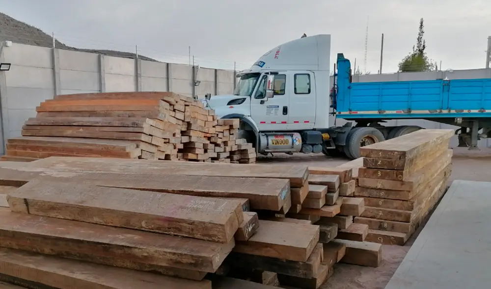 Chofer del camión será sometido a proceso administrativo. Foto: Serfor