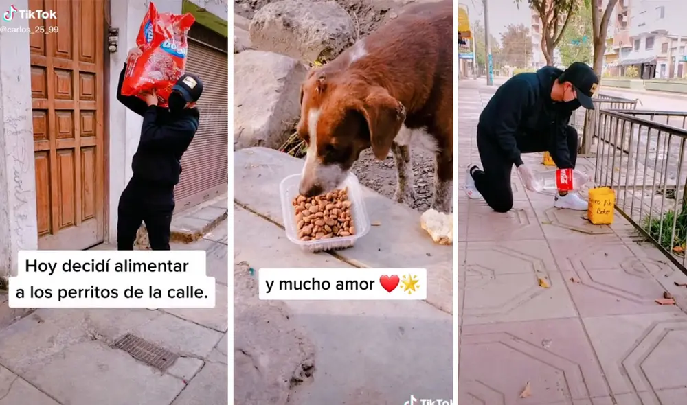 El solidario gesto de este joven no pasó desapercibido en las redes sociales y lo llenaron de elogios. Foto: captura de TikTok El solidario gesto de este joven no pasó desapercibido en las redes sociales y lo llenaron de elogios. Foto: captura de TikTok