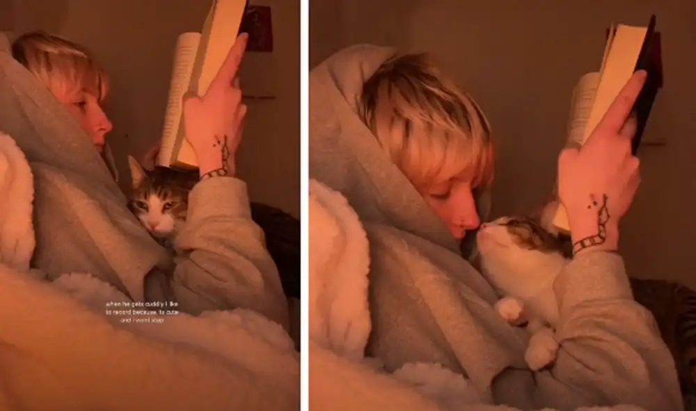 El felino se acercó a su dueño y le demostró su cariño tiernamente. Foto: captura de TikTok.