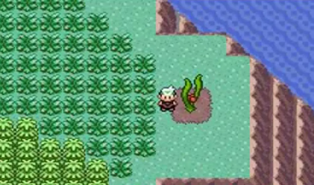 La Isla Espejismo es el único lugar en Pokémon Esmeralda donde puedes conseguir una baya Lichi. Foto: captura de YouTube