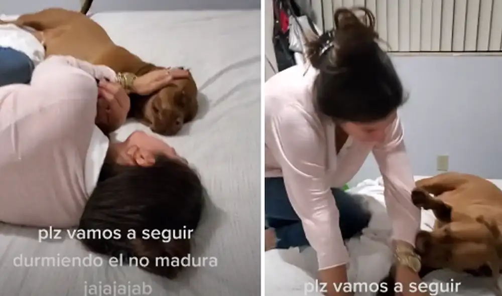 La mujer y su mascota protagonizaron una tierna escena. Foto: captura de TikTok
