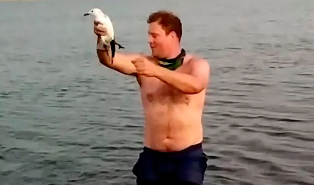 Un voluntario de una organización, nadó con todas sus fuerzas para salvar la vida de una indefensa ave que terminó enredada con 30 metros de hilo en su cuerpo. Foto: Caters Clips