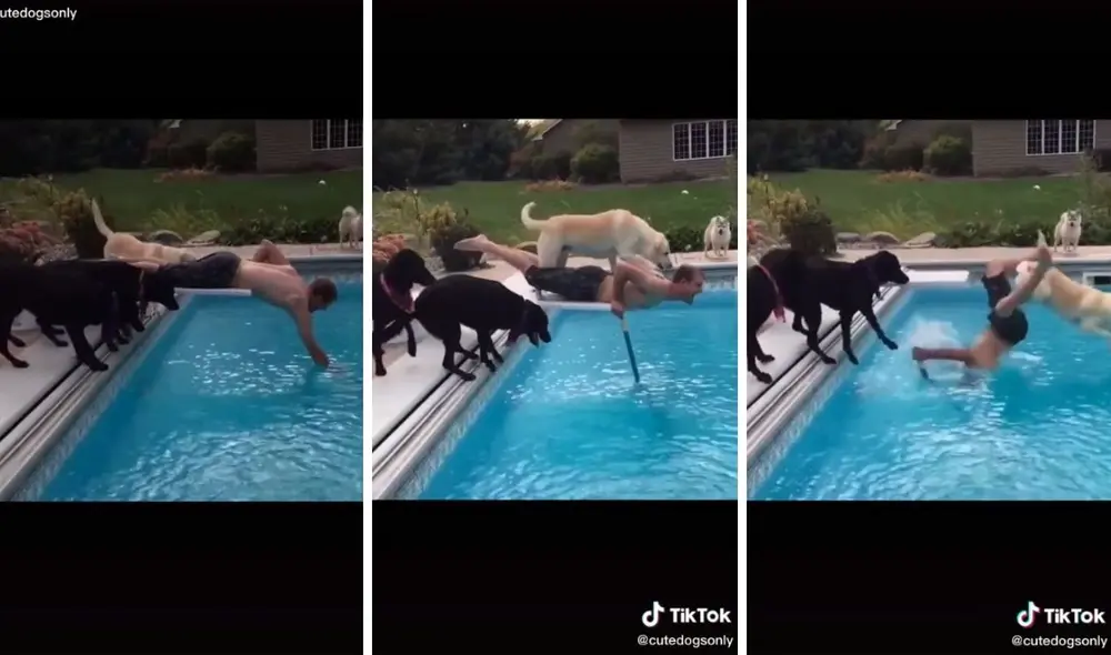 El perrito se paró sobre la espalda de su dueño y provocó este 'accidente'. Foto: captura de TikTok / @cutedogsonly