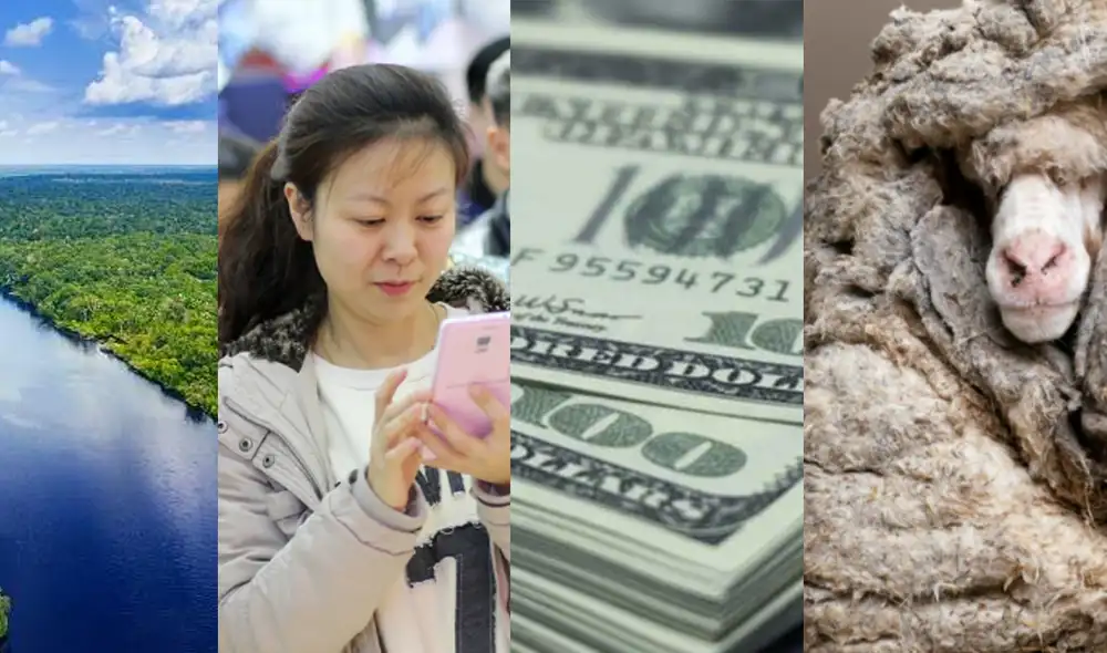 Descubre datos que aún no conocías. Foto: composición Descubre datos que aún no conocías. Foto: composición