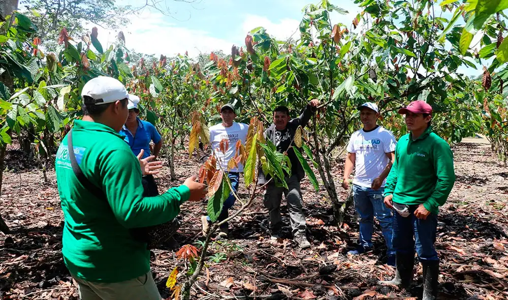 Familias se verán beneficiadas y podrán reactivar su economía. Foto: difusión