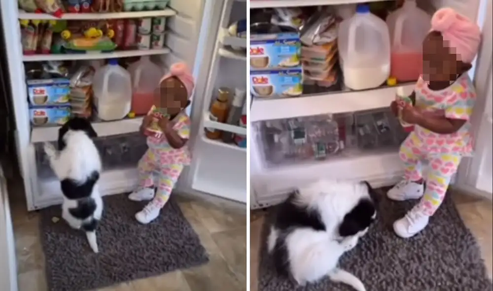 La niña fue descubierta en plena travesura e hizo reír a miles de usuarios en la red. Foto: captura de YouTube La niña fue descubierta en plena travesura e hizo reír a miles de usuarios en la red. Foto: captura de YouTube