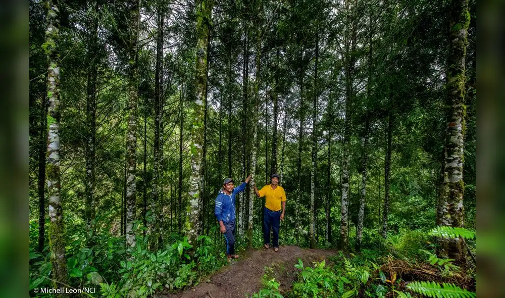 El Plan Maestro constituye el primer documento de planificación del ACR para un periodo de 5 años. Foto: NCI-Michell León
