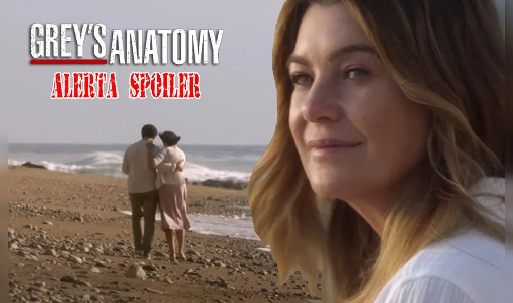 Grey's anatomy regresó. Uno de los médicos se despide de la trama. Foto: composición/ABC