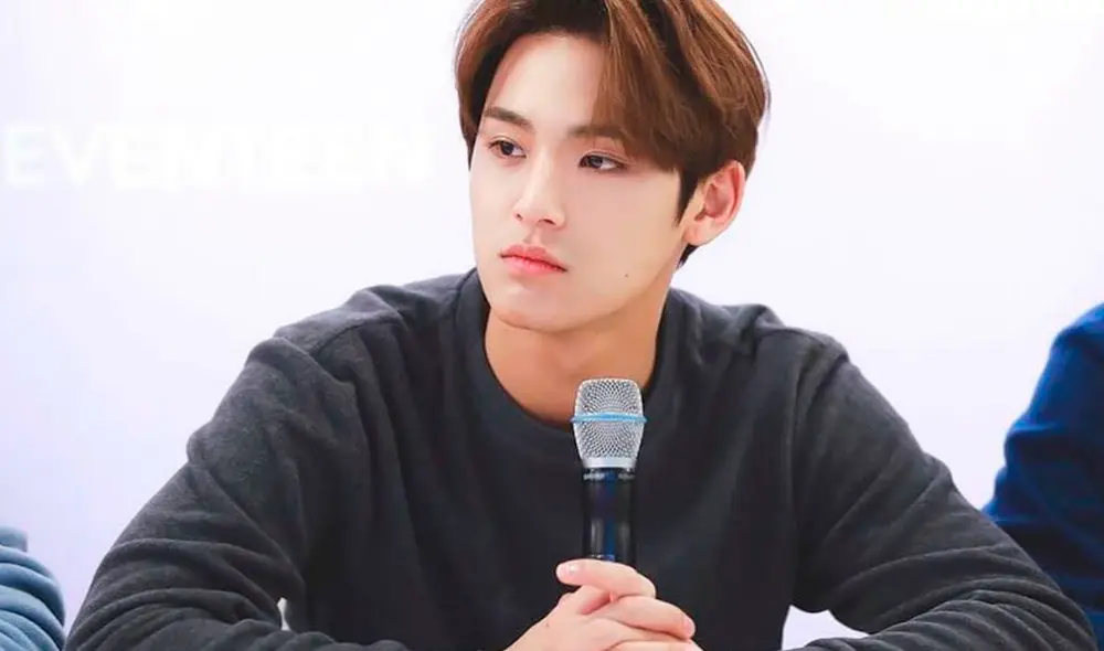 Kim Mingyu, integrante de SEVENTEEN con 23 años de edad. Foto: Fansite. Kim Mingyu, integrante de SEVENTEEN con 23 años de edad. Foto: Fansite.