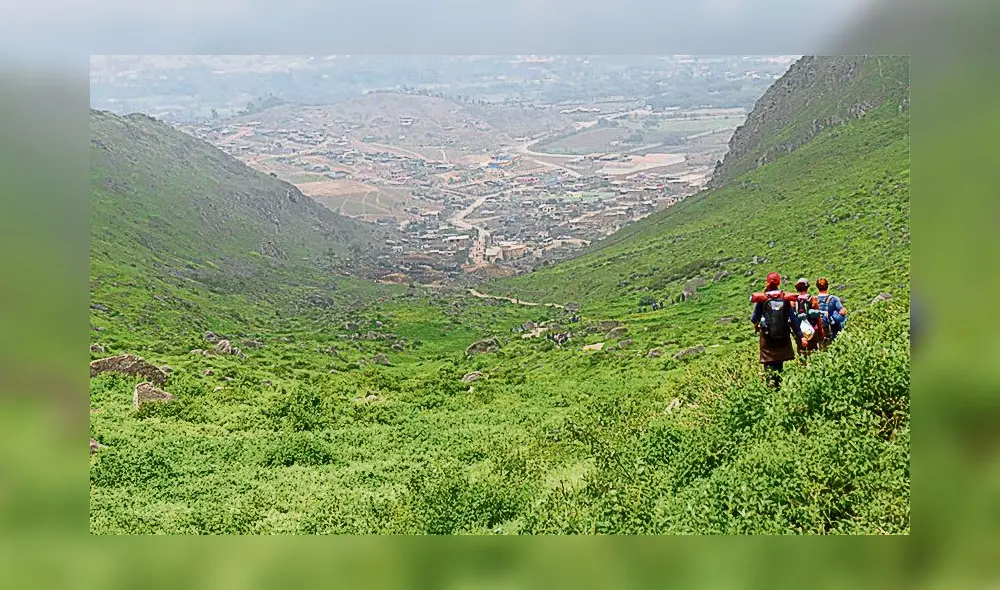 Valle. Lurín es considerado el último pulmón verde de Lima. Requiere inversión y servicios, pero también protección. Foto: Andina Valle. Lurín es considerado el último pulmón verde de Lima. Requiere inversión y servicios, pero también protección. Foto: Andina