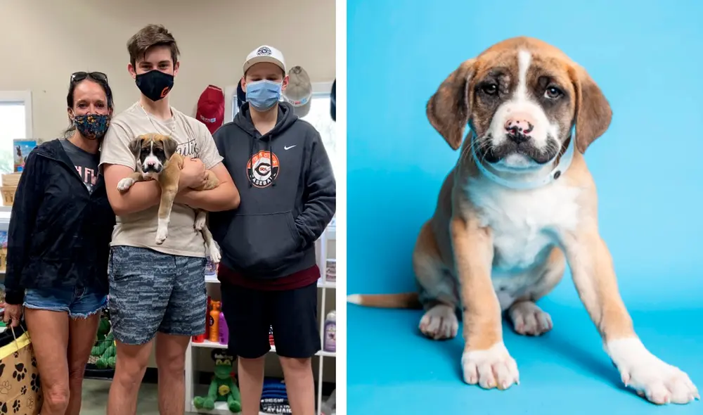 La perrita cautivó por su enorme bigote debajo de su nariz. Foto: captura de Facebook / Arizona Human Society