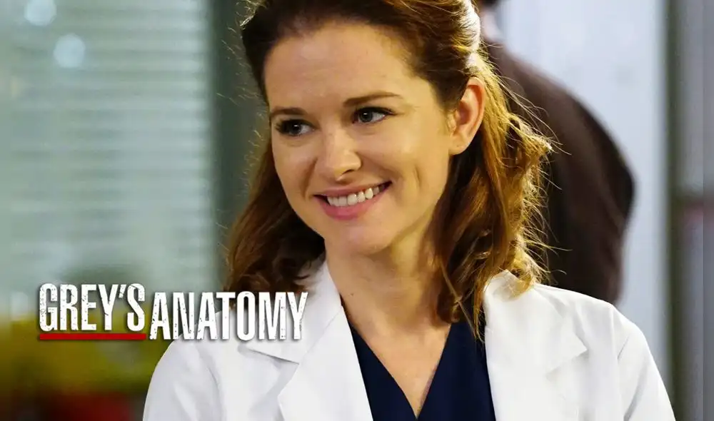 Sarah Drew es la nueva invitada para la temporada 17 de Grey's anatomy. Foto: ABC