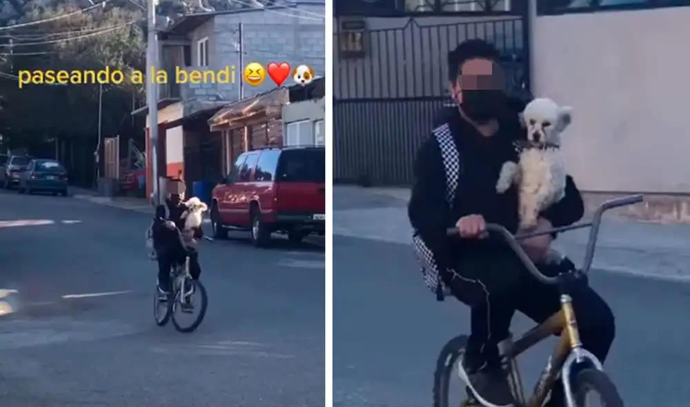 Un pequeño llamó la atención de sus vecinos al recorrer las calles junto a su perro que iba cargado en su brazo izquierdo. Foto: captura de TikTok Un pequeño llamó la atención de sus vecinos al recorrer las calles junto a su perro que iba cargado en su brazo izquierdo. Foto: captura de TikTok