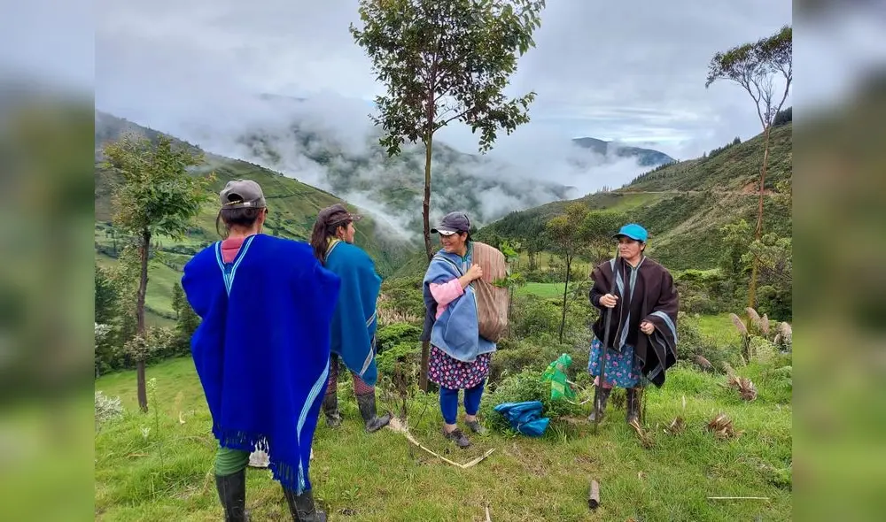 Hombres y mujeres se sumaron a la actividad para el cuidado de los bosques y páramos. Foto: FAQCH