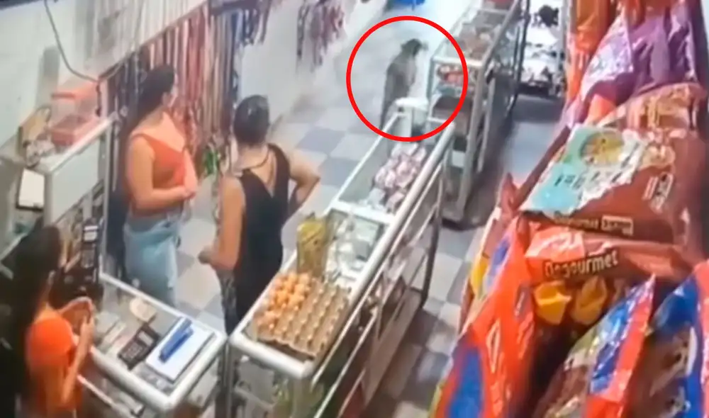 Una cámara de seguridad en el local de mascotas registró la inesperada acción del can cuando agarró una bolsa a escondidas y huyó de forma rápida. Foto: captura de YouTube Una cámara de seguridad en el local de mascotas registró la inesperada acción del can cuando agarró una bolsa a escondidas y huyó de forma rápida. Foto: captura de YouTube