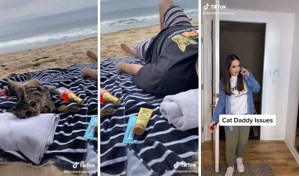 Así pasan el día en la playa este gatito y su dueño. Foto: captura de TikTok / @dontstopmeowing Así pasan el día en la playa este gatito y su dueño. Foto: captura de TikTok / @dontstopmeowing