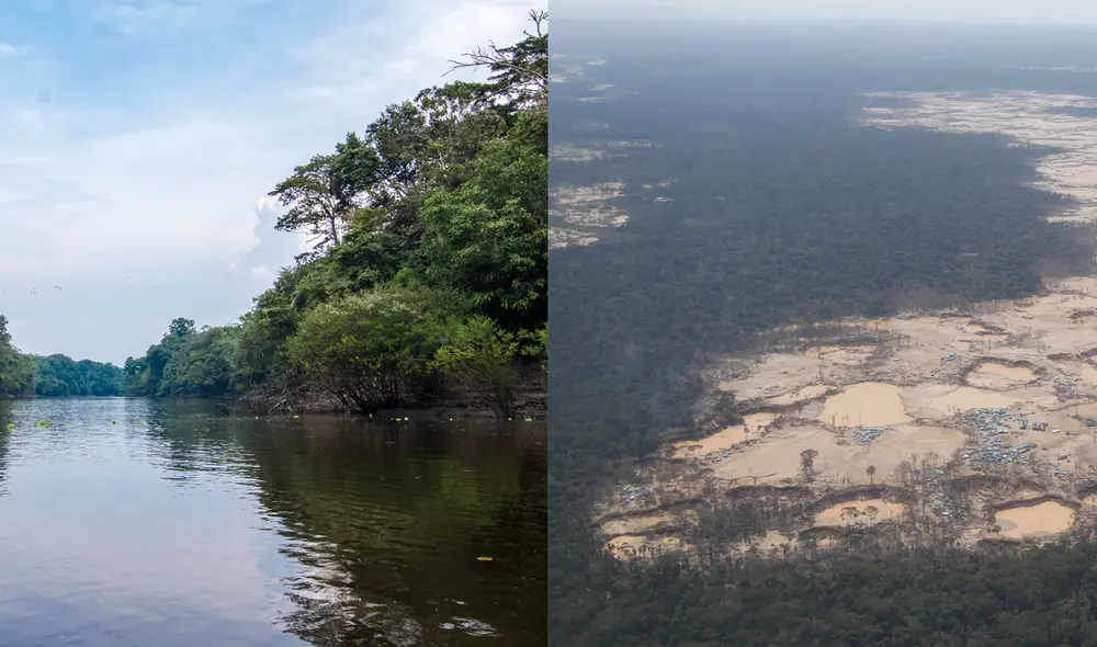 Ejecución de los proyectos se iniciará en agosto próximo y forman parte de Programa Bosques, iniciativa internacional para la mitigación del Cambio Climático. Foto: composición/Grupo La República