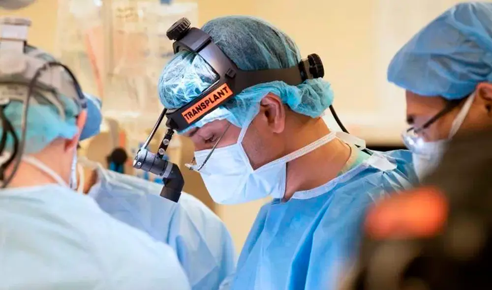 Los cirujanos de Northwestern han realizado 14 trasplantes dobles pulmón en supervivientes del virus, la mayor cantidad que cualquier hospital del mundo. Foto: EFE