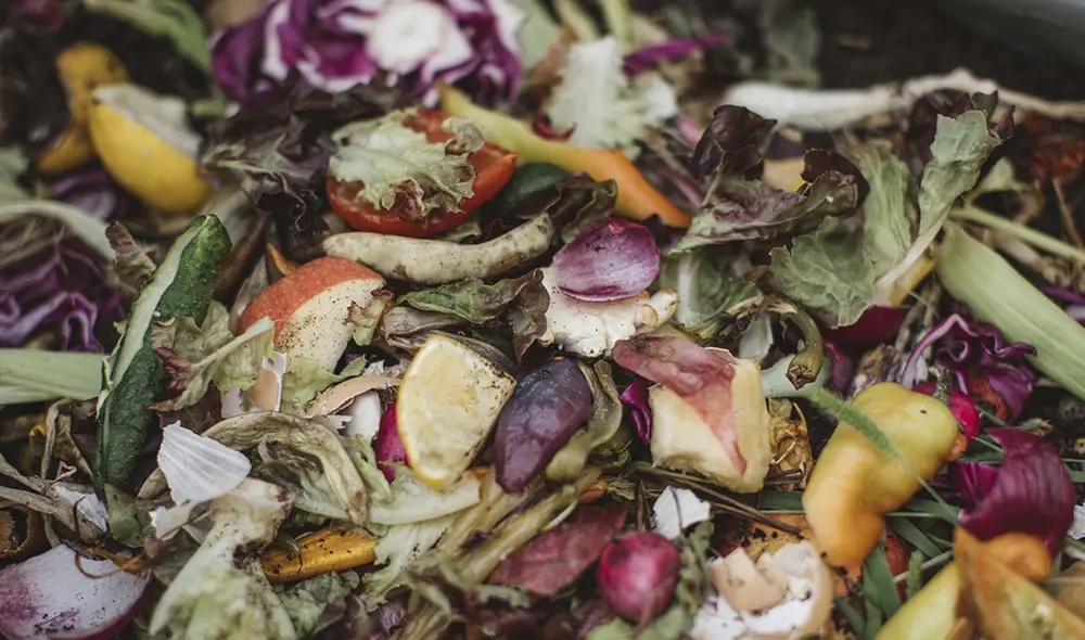 Cada consumidor peruano desecha 67.34 kilos de comida en un periodo no mayor a doce meses. Foto: difusión