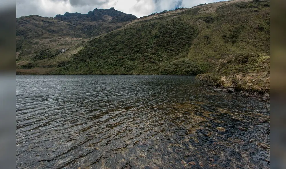 Especialistas piden concientización para cuidar el agua y sus fuentes naturales. Foto: NCI Especialistas piden concientización para cuidar el agua y sus fuentes naturales. Foto: NCI