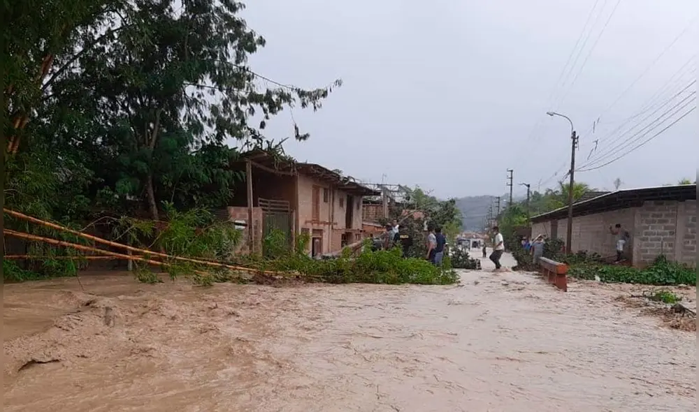 Las lluvias que soporta San Martín desde hace varios días deja cuantiosos daños materiales. Foto: Andina