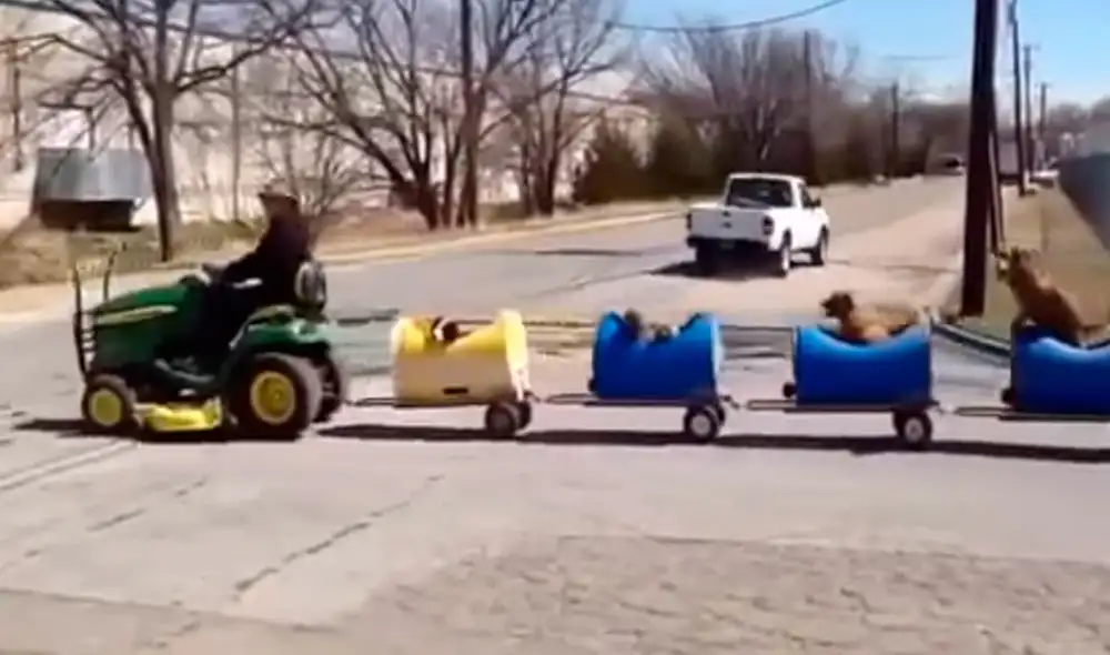 Todos los días, un anciano sale a recorrer su vecindario a bordo de un tren que fabricó en su casa y siempre está acompañado de sus queridas mascotas. Foto: captura de Facebook