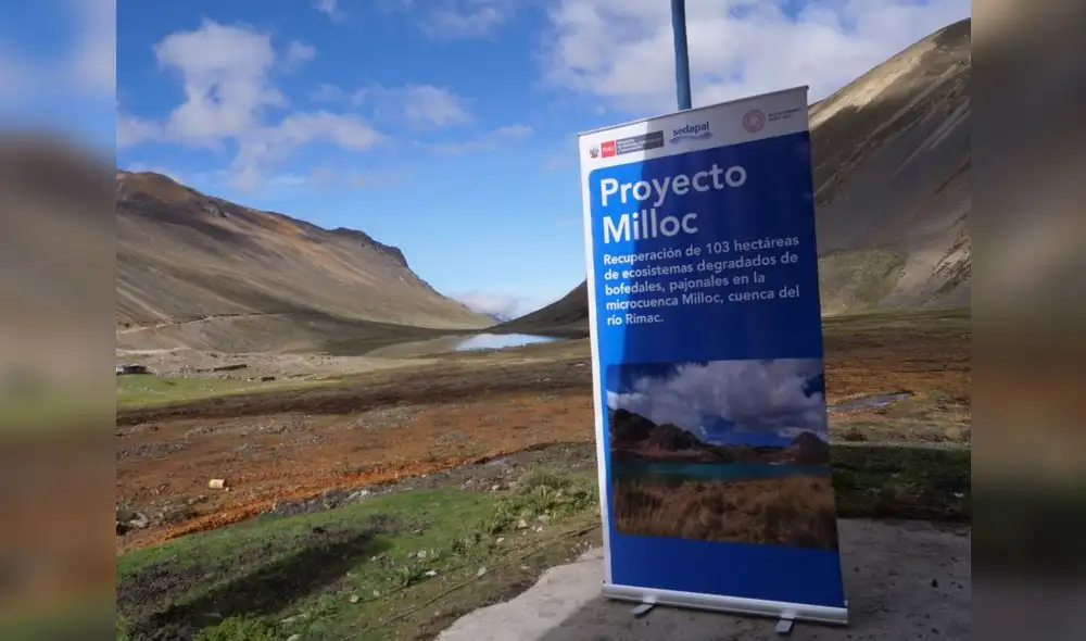 Proyecto creará 12 mil jornales, ayudando en la economía de la comunidad. Foto: Sedapal