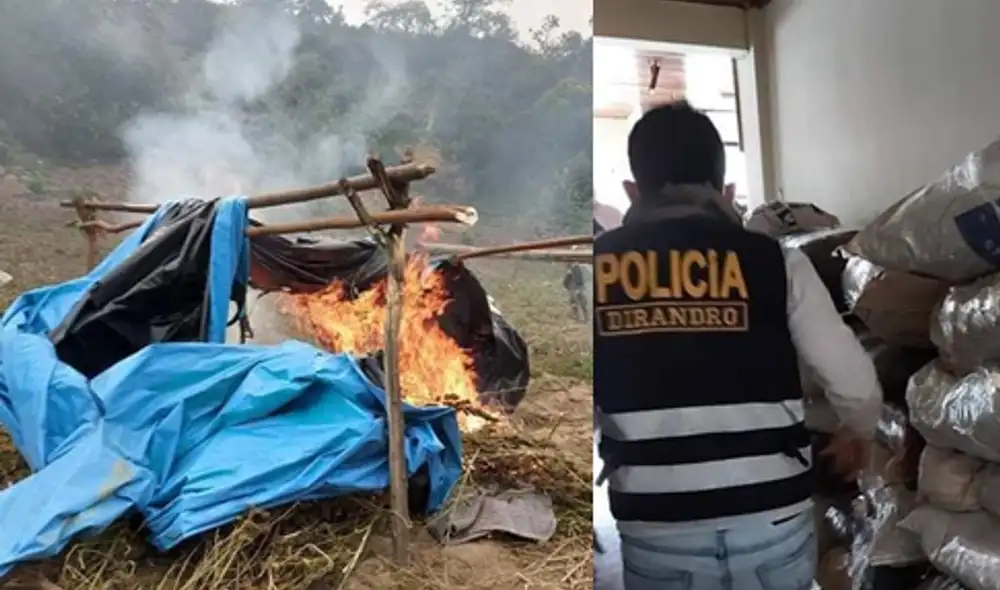 Se erradicaron plantones de marihuana en Sánchez Carrión. Foto: PNP