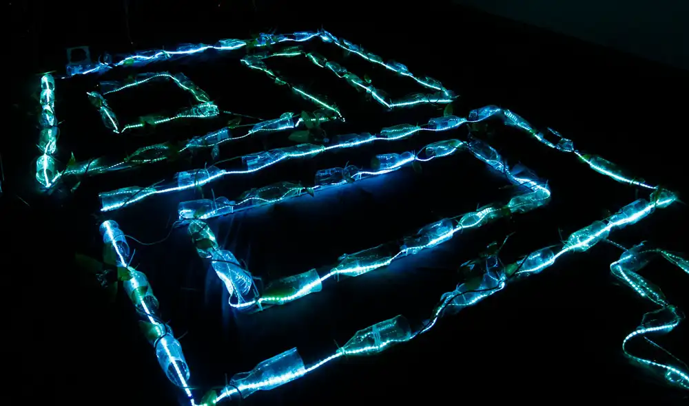 La Hora del Planeta 2021 busca que las personas demuestren que la naturaleza importa, según WWF. Foto: Grupo La República La Hora del Planeta 2021 busca que las personas demuestren que la naturaleza importa, según WWF. Foto: Grupo La República