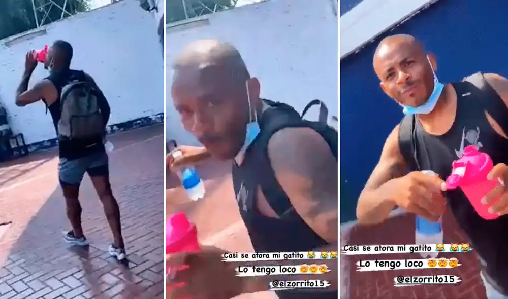 Alianza Lima enfrentará este martes 30 de marzo a Cusco FC por la fecha 3 de la Liga 1. Foto: composición de La República Alianza Lima enfrentará este martes 30 de marzo a Cusco FC por la fecha 3 de la Liga 1. Foto: composición de La República