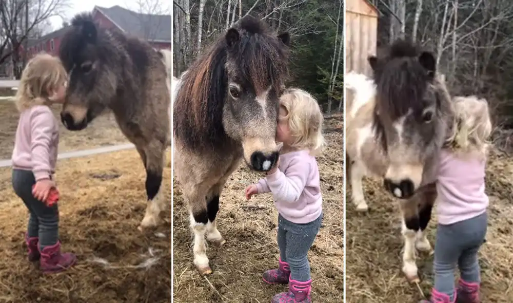 El emotivo momento logró conmover a más de uno en las redes sociales. Foto: captura de YouTube