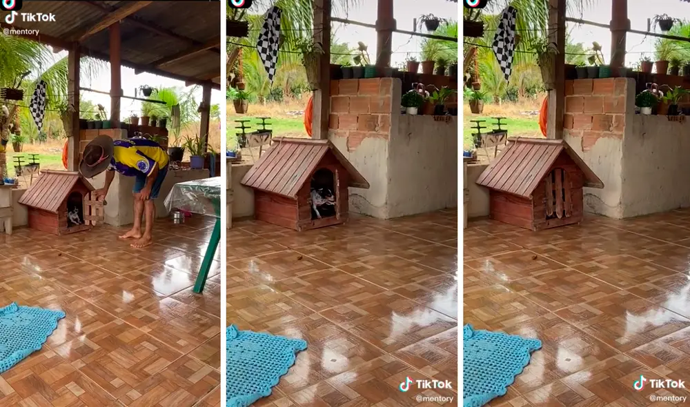 El perro se molestó cuando su dueño le abrió la puerta. Foto: captura de TikTok El perro se molestó cuando su dueño le abrió la puerta. Foto: captura de TikTok